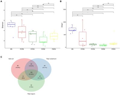 Next-generation sequencing-based comparative mapping and culture-based screening of bacterial rhizobiome in Phytophthora capsici-resistant and susceptible Piper species